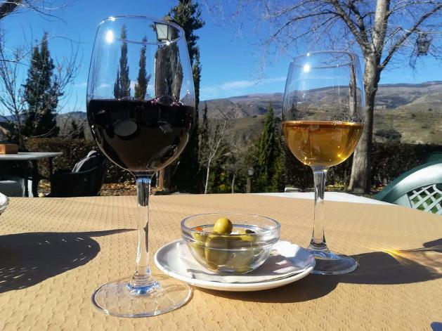 Wijnroute Granada Andalusië