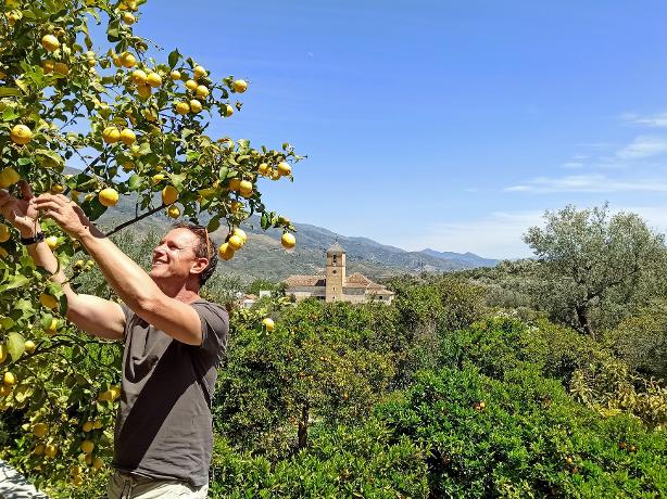 Reijer Staats Pinos del Valle