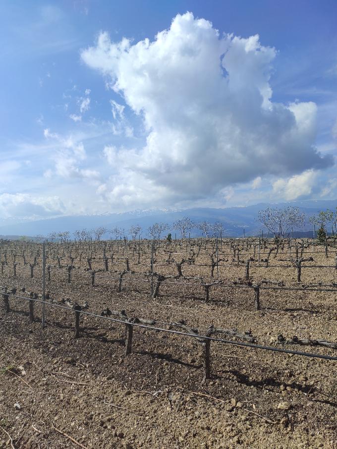 La Contraviesa, las Alpujarras