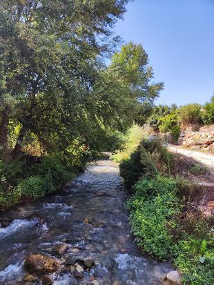 Valle de Lecrín - Ruta del Azahar