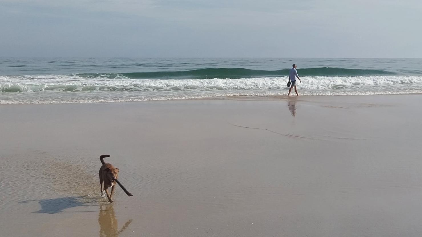 Una Más tussen Sierra en Costa, Where there's a will, there's a wave. Spring Break in Portugal 